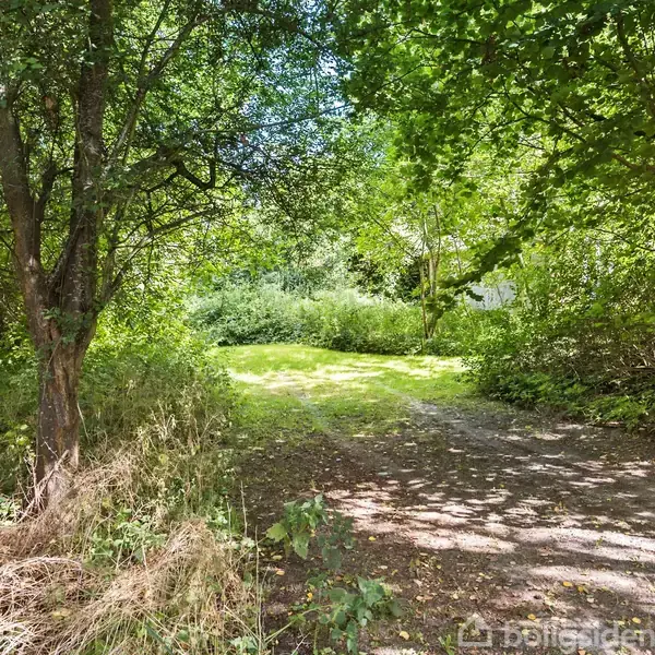 En skovklædt sti fører gennem tæt vegetation til en lysning med græs. Træerne kaster skygger over stien, skaber en fredfyldt og naturlig atmosfære i en landlig have.