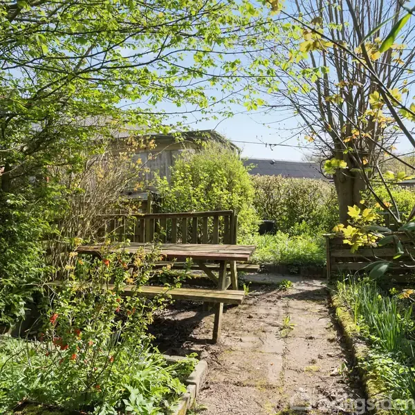 En træbænk og et bord står stille midt i en frodig have med blomstrende buske og træer under en klar blå himmel. Sti omkranset af grøn vegetation.