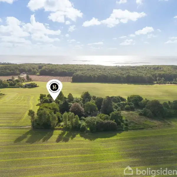 Et grønt landskab med en klynge af træer, omkranset af marker, under en blå himmel med få skyer. En markeringsnål med tallet "3" er over træerne.