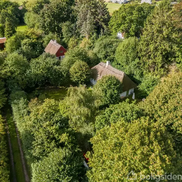 To huse er dækket af tætte grønne trækroner i en frodig have. Stiforløb kan skimtes mellem træerne, hvilket indikerer et skovklædt, landligt område i grønne omgivelser.