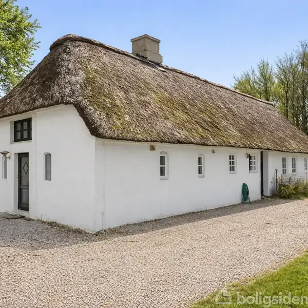 Hvid, stråtækt hus står stille på en grusbelagt vej, omgivet af grønne træer under en klar blå himmel.