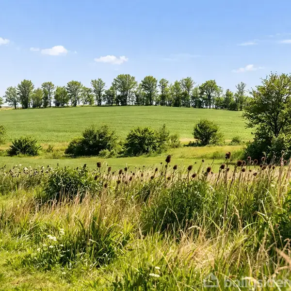 Grøn eng strækker sig over bakker, omkranset af en række træer i baggrunden under en klar blå himmel. Græs og vilde blomster vokser i forgrunden. Tekst: "AI MODIFICERET".