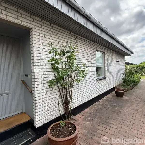 Hvid murstenshus med en grå dør og vindue. En plante i en potte står ved siden af døren. Flisebelagt sti fører til haven i baggrunden under en overskyet himmel.