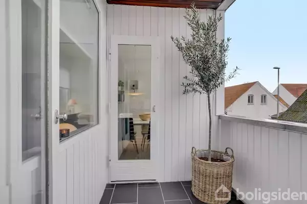 En altan med sort flisebelægning og et oliventræ i en flettet kurv står ved en hvid væg. En glasdør fører ind til spisestuen med møbler synlige.