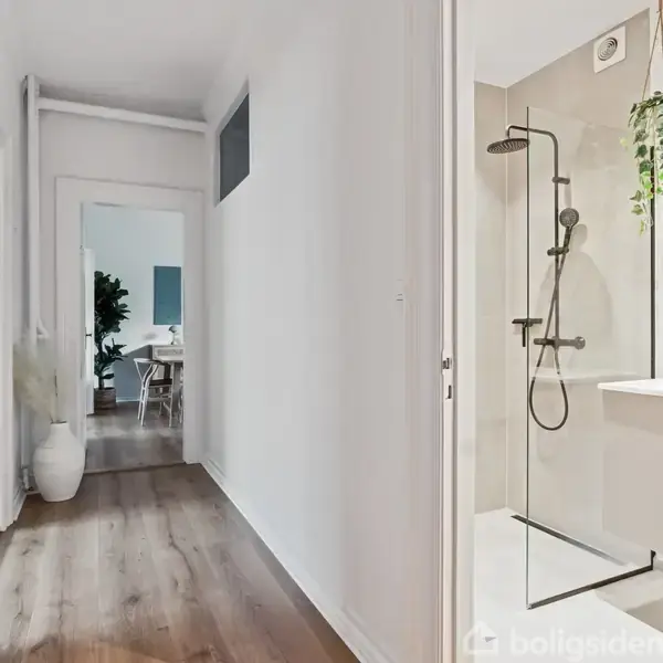 En lys gang med trægulv fører til et spiseområde. Til højre en moderne bruser med glasvæg. En grøn plante hænger over håndvasken.