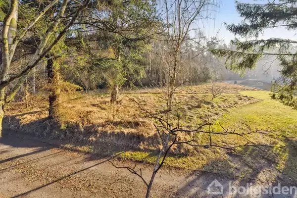 Grøn græsplæne omgivet af træer vokser i en solrig park. Stien foran plænen viser skygger, og skoven fortsætter i baggrunden.