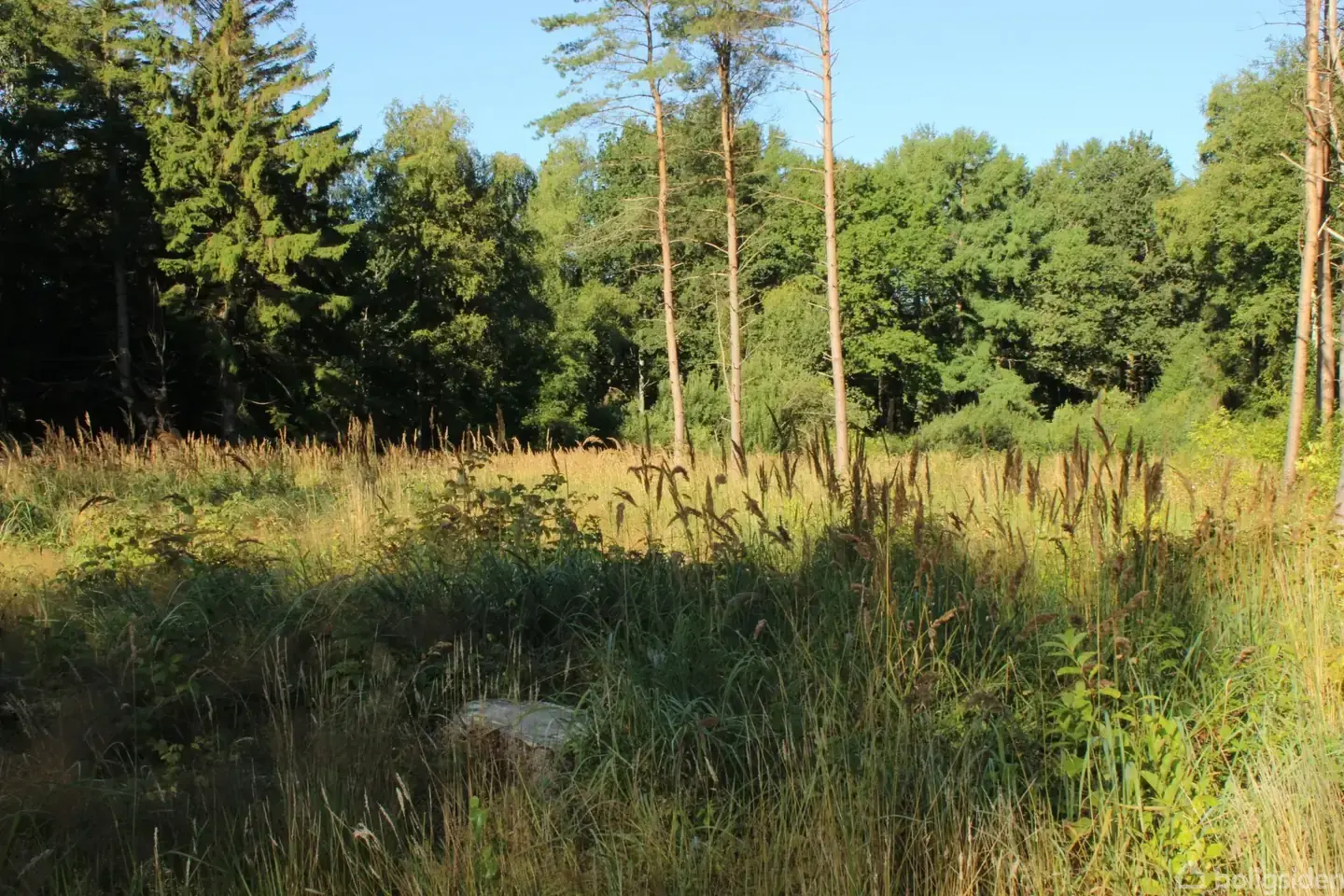 Fritidsgrund på Kongeportsvej 15, 9640 Farsø