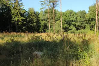 Fritidsgrund på Kongeportsvej 15, Ertebølle, 9640 Farsø