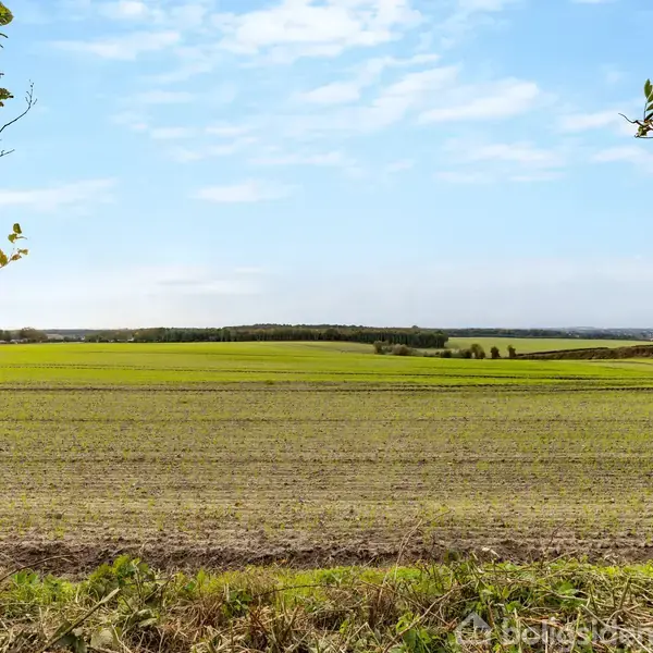 En bred mark strækker sig ud under en blå himmel med spredte skyer, omgivet af grønne buske. Landet er delvist pløjet, hvilket indikerer nylig jordbearbejdning. Ingen tekst er til stede.