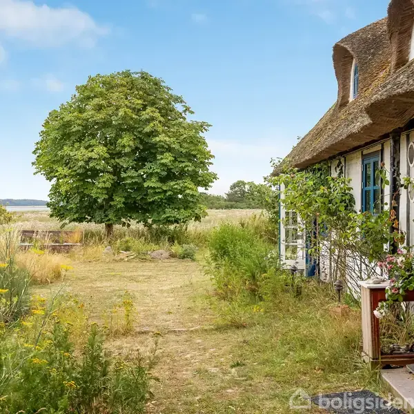 Stråtækt hus med blå dør omgivet af grønne planter og blomster, placeret ved siden af en stor, frodig træ i en landlig have med udsigt til en mark under blå himmel.