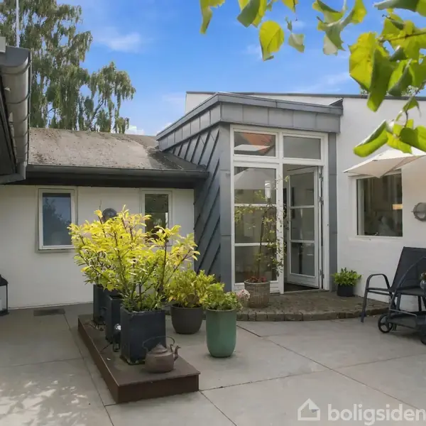 Terrasse med planter i krukker placeret på fliser foran et hvidt hus. To stole og en parasol står til højre, omgivet af grønne træer og blå himmel.