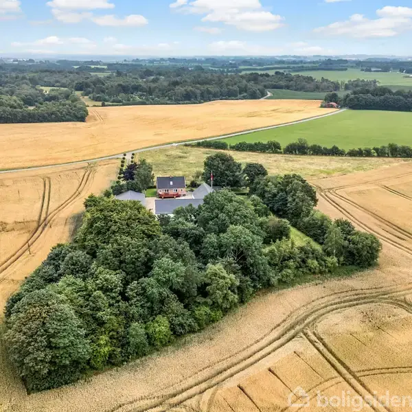 Et hus ligger omgivet af træer på en lille, skovklædt bakke midt i store, gulnede marker under en klar, blå himmel med spredte skyer.
