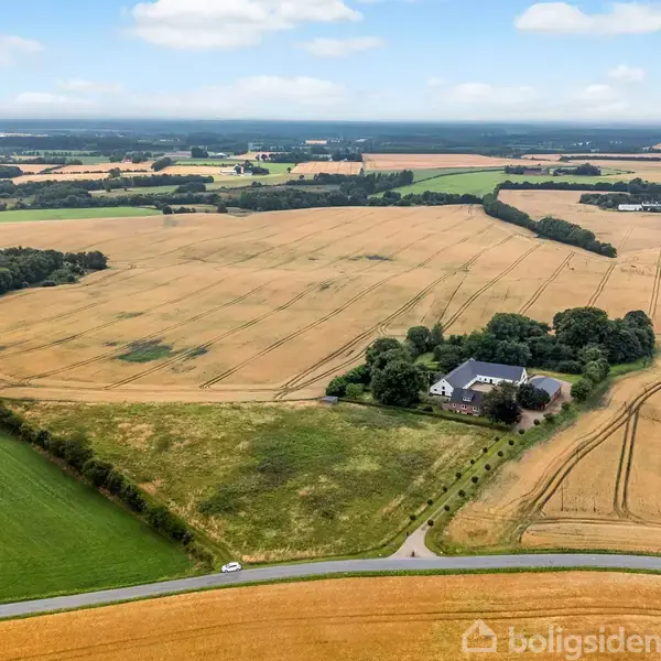 Gården ligger stille omgivet af gule marker og træer. En landevej strækker sig foran, midt i det flade landskab under en klar, blå himmel.