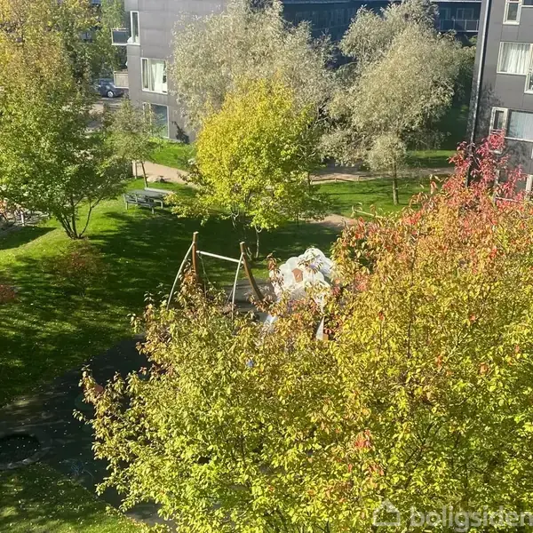 En legeplads med gynger står stille omgivet af grønne træer og græs i en boligområde med grå bygninger i baggrunden. Det er en solrig dag.