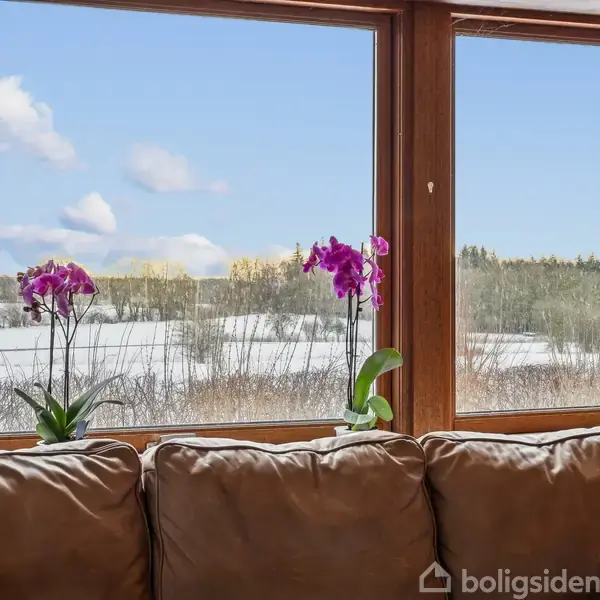 En brun sofa står foran et stort vindue. To orkidéer blomstrer på vindueskarmen, og bagved ses et snedækket landskab med træer under en blå himmel.