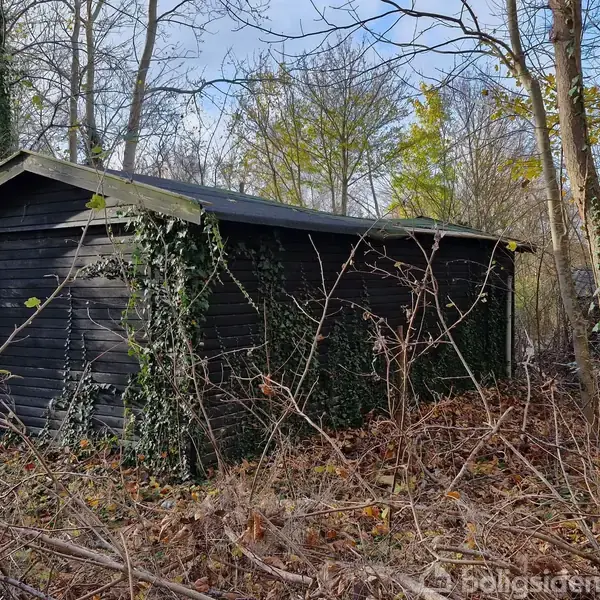 En sort træbygning står stille omgivet af træer og vildtvoksende vegetation. Bygningen er delvist dækket af vedbend, hvilket antyder, at den er forladt.