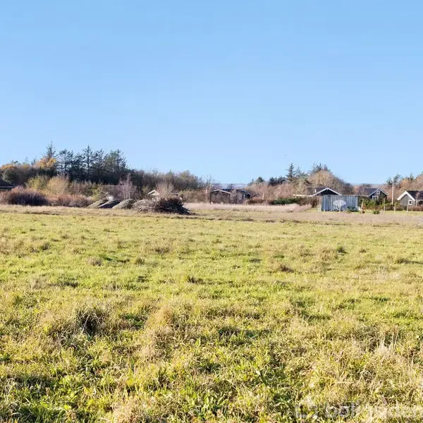 En stor græsmark strækker sig ud med spredte buske og træer i baggrunden. I horisonten ses et par huse, der antyder en landlig beboelse.