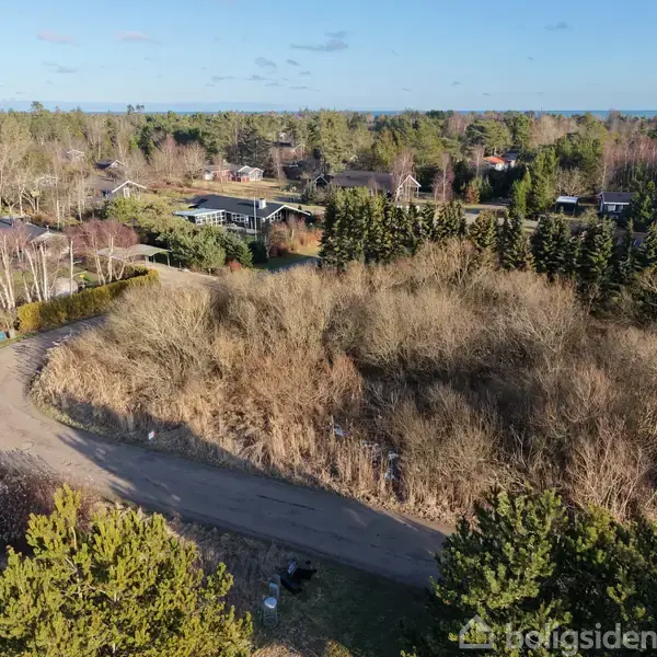 Et åbent område med buske og træer står urørt, omgivet af en vej. Omkringliggende huse og en skov udgør den grønne, naturskønne kontekst.