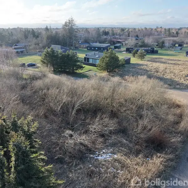 Grunden er dækket af tætte buske og træer, værende stille, omgivet af et landskab med spredte huse og en åben himmel i baggrunden. Tekst: "boligsiden".