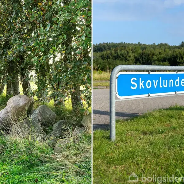 Stenene ligger stille i det grønne græs ved siden af træerne; vejskiltet "Skovlunden" står på en græsplæne ved en vej med skov i baggrunden.
