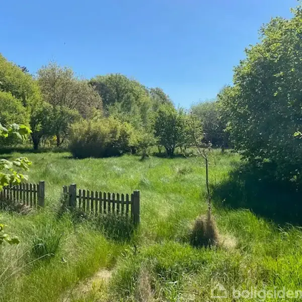 En lille trælåge står stille i højt græs, omgivet af tæt bevoksning og træer under en klar blå himmel.
