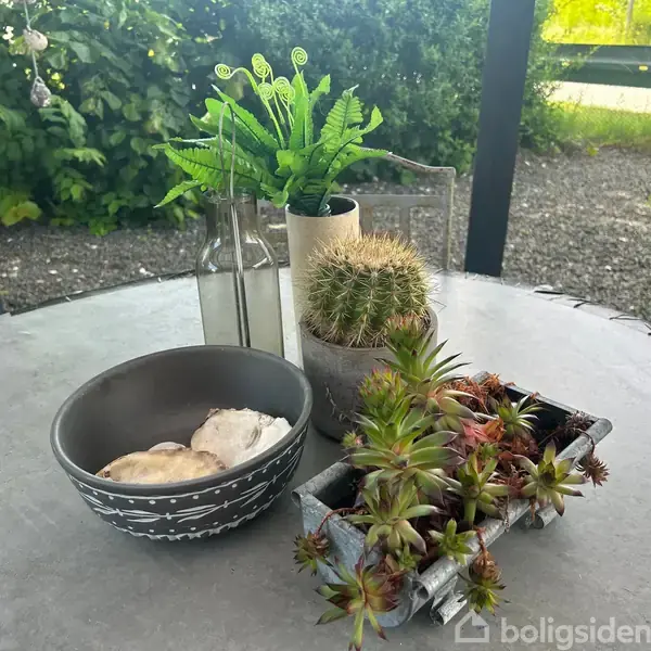Centreret på et rundt bord, står en skål med sten, en lille kaktus og en plante i krukker. Omgivelserne inkluderer en grusbelagt gårdhave med grønne planter i baggrunden.