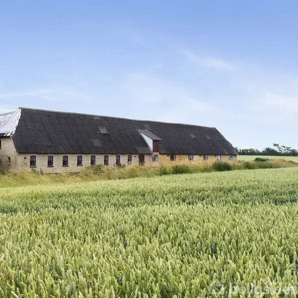 En lang, lav bygning med sort tag står stille på en åben mark med grønne afgrøder, omgivet af spredte træer under en klar blå himmel.
