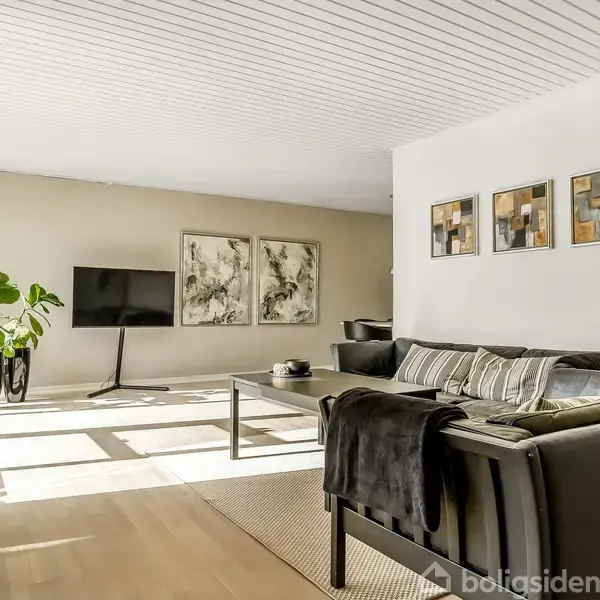 Stue med sort lædersofa og sofabord, stor fladskærms-TV og grøn plante. Vægmalerier hænger bag sofaen. Rummet er lyst med trægulv og hvidt loft.