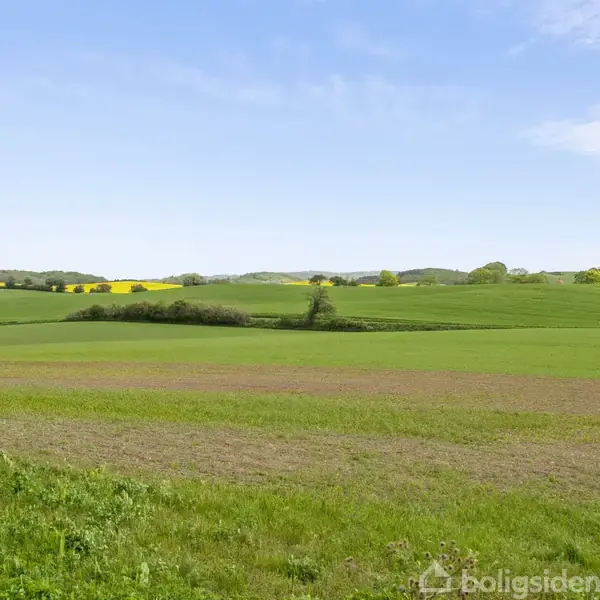 Landskab med grønne marker strækker sig over bølgende bakker under en lys blå himmel. I baggrunden ses gule rapsmarker, der tilføjer farve til det vidtstrakte landbrugsområde.
