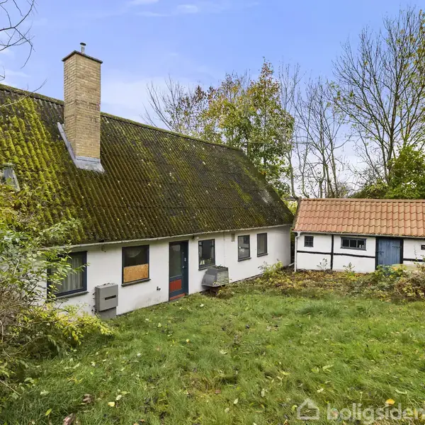 Hus med mosdækket tag og skorsten står stille ved siden af et lille udhus, omgivet af træer og en grøn have.