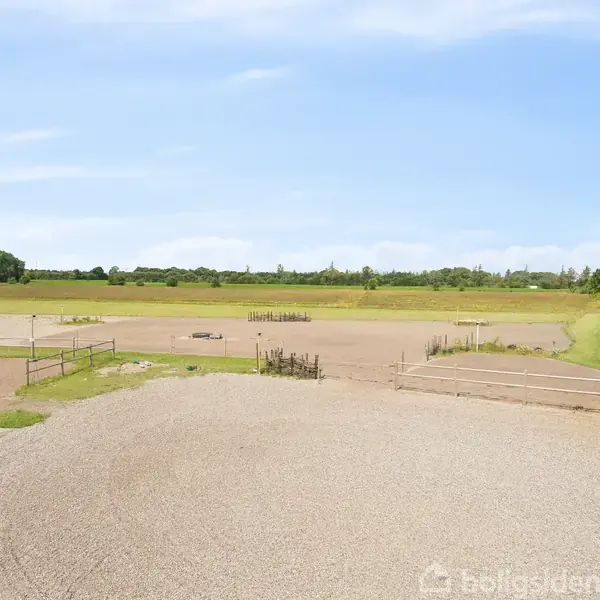En mark omgivet af træer med en grusbelagt gårdsplads i forgrunden. En hest står stille i en indhegning tæt på en bygning til højre.