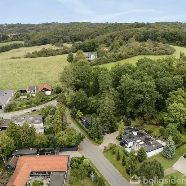 Huse ligger langs en vej omgivet af tæt skov. Et stort grønt område strækker sig i baggrunden, dækket af skov og marker. Ingen tekst er synlig.