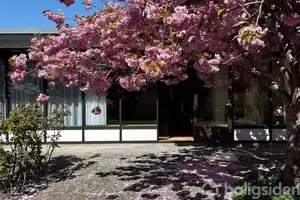 Villa på Annasvej 10, 2900 Hellerup