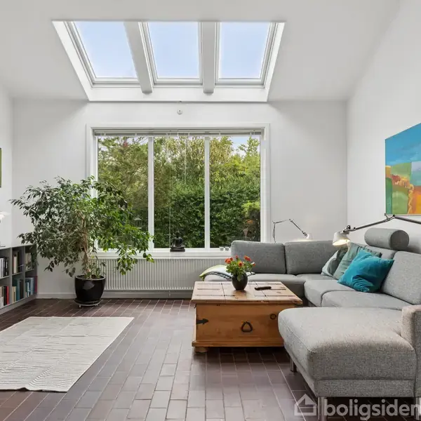 En grå sofa står ved et sofabord i et lyst stueområde. Et stort vindue og ovenlys oplyser rummet, som er omgivet af grønne planter og farverig kunst. En boghylde og et TV er modsat sofaen.