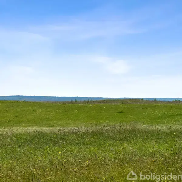 En ensom, sort bygning står i venstre kant, omgivet af vidtstrakte grønne marker under en klar blå himmel. I baggrunden ses en skovkant eller lav horisont.