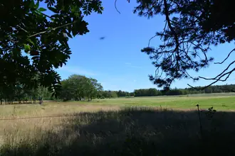 Fritidsgrund på Thorasvej 4A, Vesterø, 9940 Læsø