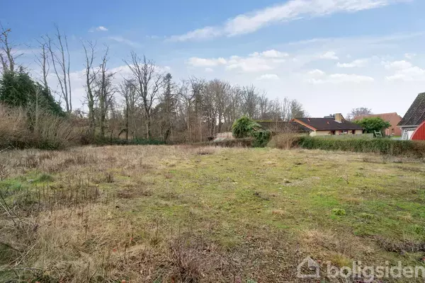 Græsbevokset åbent areal med spredt vegetation i en have omkranset af træer. I baggrunden ses en række huse med røde tage under en klar blå himmel.