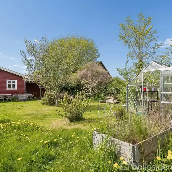 Et rødt hus står i en frodig have med en græsplæne fyldt med mælkebøtter. Ved siden af huset er et drivhus, omgivet af forskellige buske og træer under en klar blå himmel.