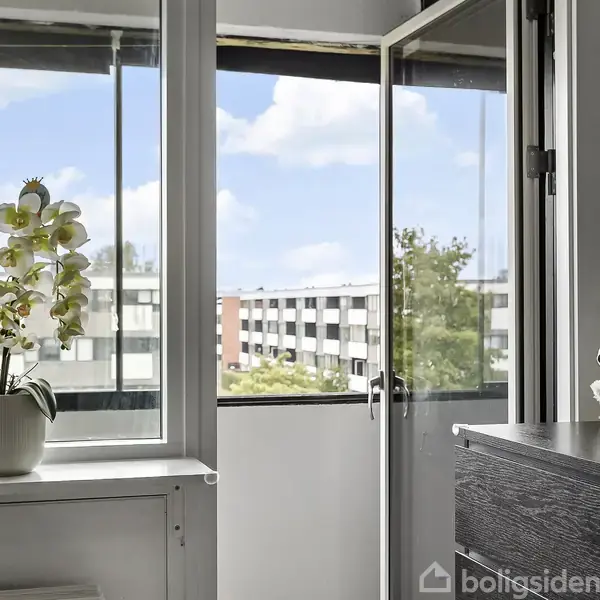 En potteplante står på en vindueskarm. En åben altandør afslører en udsigt over et lejlighedskompleks. To plys-hunde sidder på en kommode ved siden af.