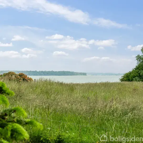 Eng grænser op til en sø med træer i forgrunden og baggrunden. Blå himmel med hvide skyer danner en rolig atmosfære.