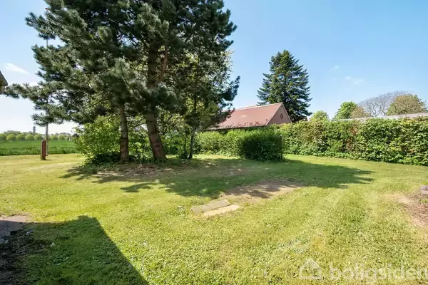 Træer står på en grøn græsplæne, der omkranser et hus og en hæk. Blåt himmelstræk skaber en fredelig haveatmosfære.