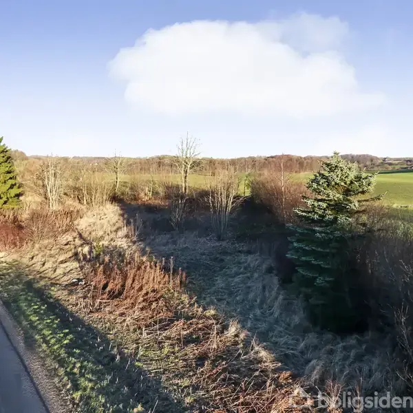 En landevej svinger til venstre langs en skovkant med høje træer. Græsarealer og marker breder sig til højre, mens himlen er klar med lette skyer.