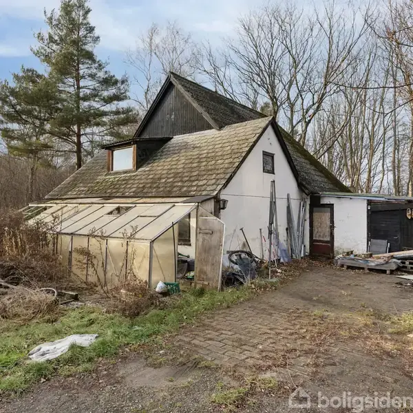 Hus med stejl tag og udestue, omgivet af høje træer og vildtvoksende planter. Et skur er ved siden af, med brændestabler langs en grusvej. Skoven er bagved.