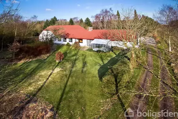 Hus med rødt tag og hvid facade står i solskinsbelyst have med plæne og træer. En grusvej løber langs højre side. Skoven ses i baggrunden.