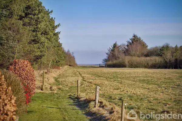 En grøn sti løber mellem et græsareal og en række træer. Et hegn følger stiens kant og horisonten viser en åben blå himmel med havudsigt i det fjerne.