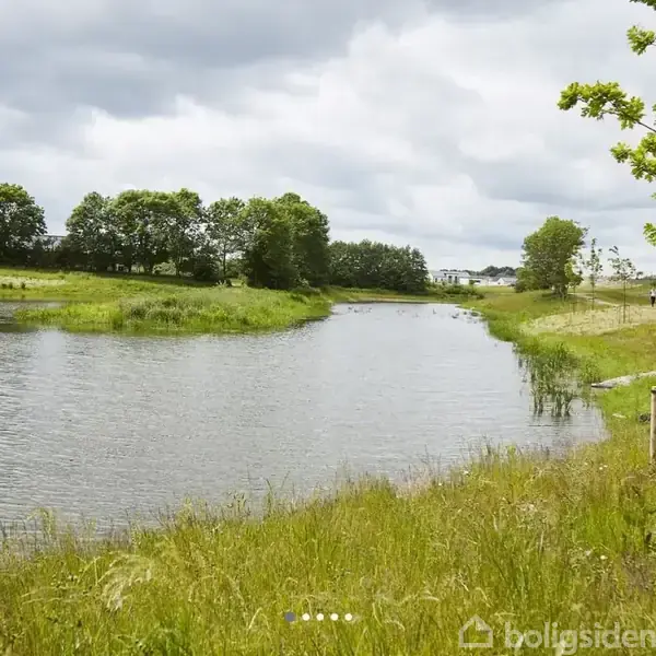 Lille sø strækker sig gennem frodigt sommergræslandskab, omgivet af spredte træer under en overskyet himmel. En grussti følger søbredden, mens afgræsningen tilfører naturlig charme.