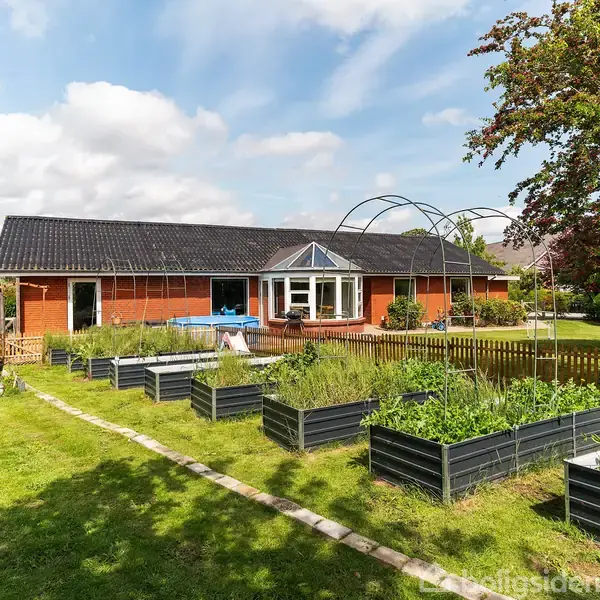 En række hævede plantekasser bugner af grønne planter i en velplejet have, omgivet af en lav træhegn. I baggrunden ses et rødt etplanshus med glaseret udestue.