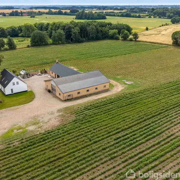 En stor murstensladbygning og et hvidt hus med sort tag står i forlængelse af marker med rækker af grønne afgrøder. Landskabet er omgivet af skove og åbne marker.
