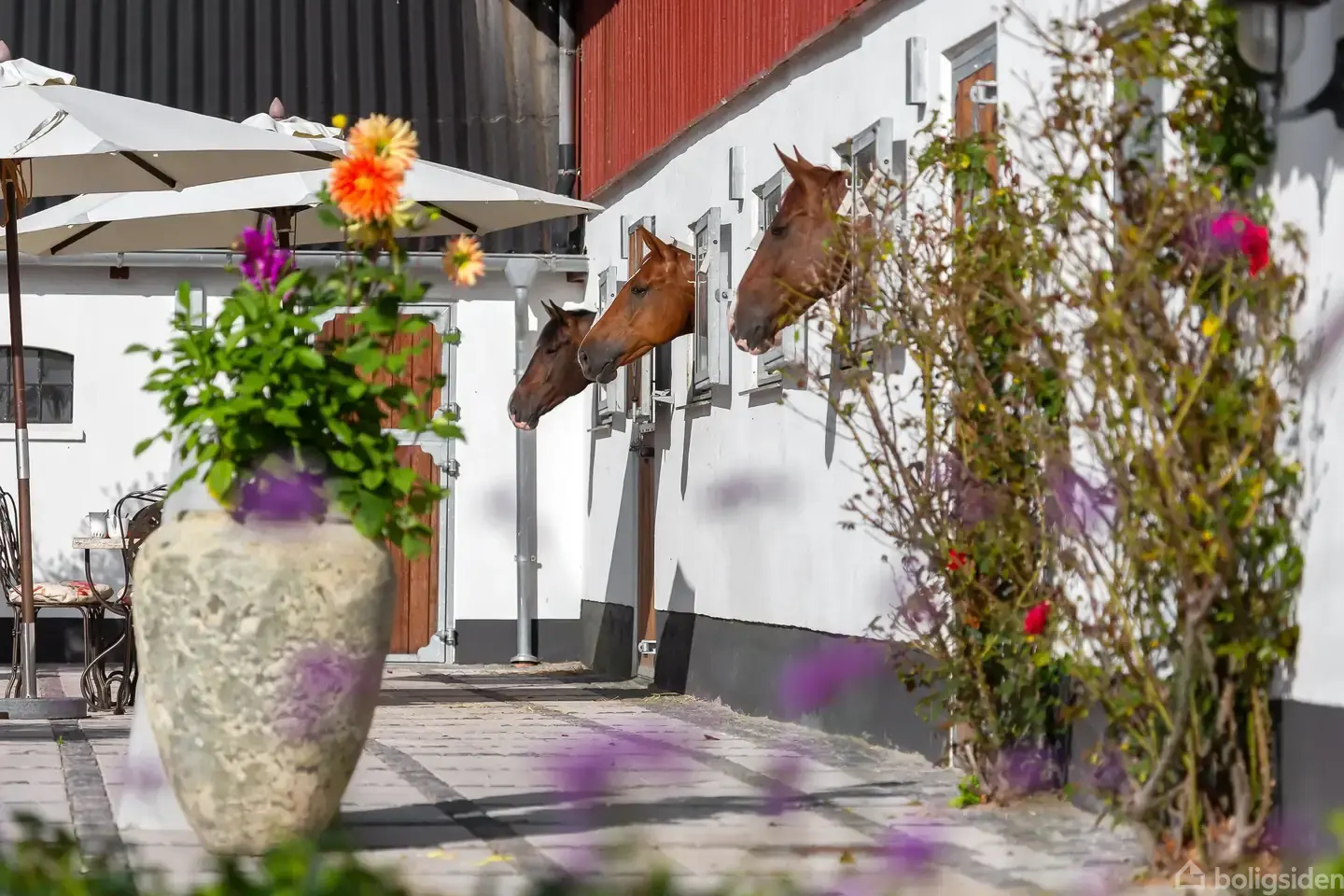 Eftertragtet og unik heste-ejendom i Sandbjerg.