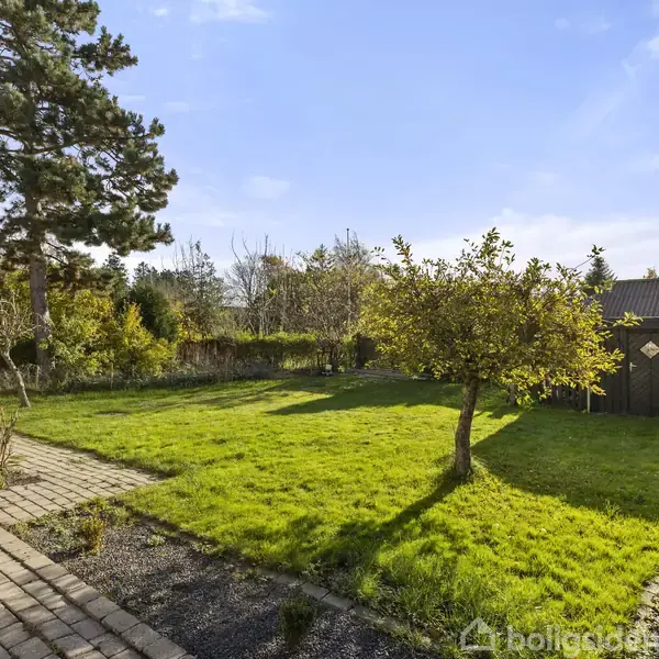 En græsplæne med et lille træ står i en solrig have omkranset af buske og træer. En flisebelagt terrasse er ved siden af huset, og en garage ses i baggrunden.